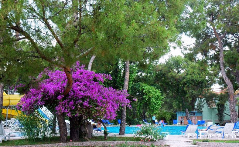 Club Pınara